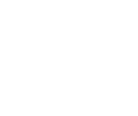 Sana Sculpt Studios